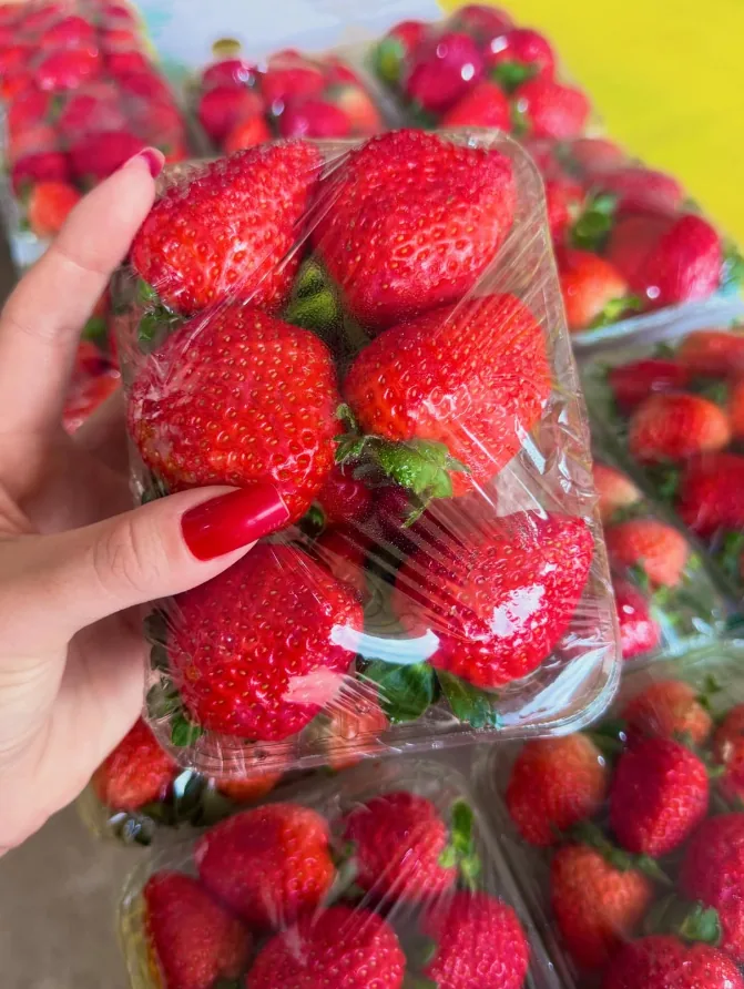 Bandejas de morango