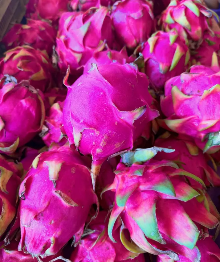 Pitayas rosa