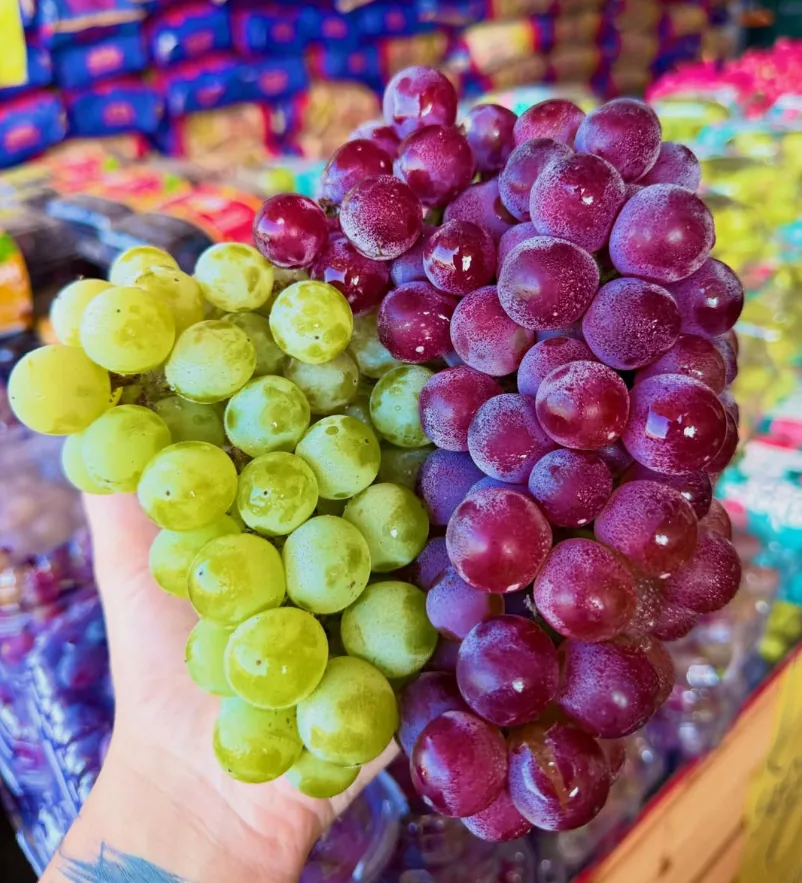 Uvas verdes e roxas seguradas na mão